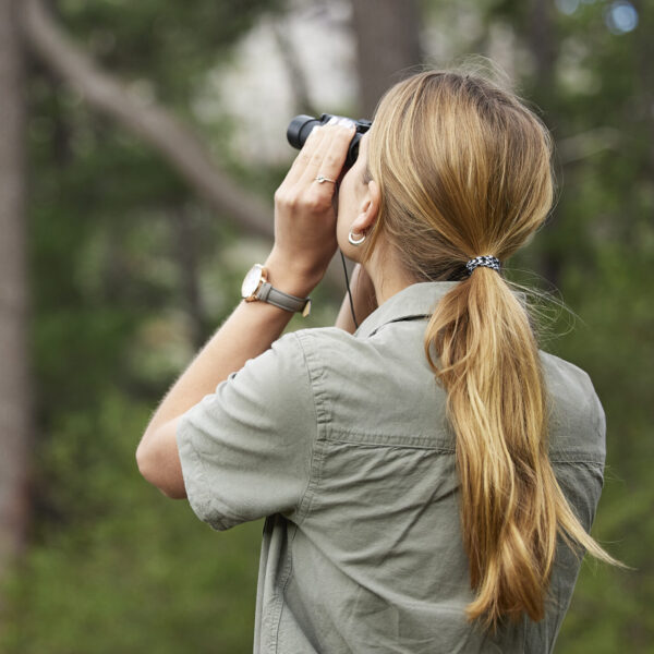 Binoculars, forest explore and woman in nature, travel journey or outdoor adventure for carbon foot.